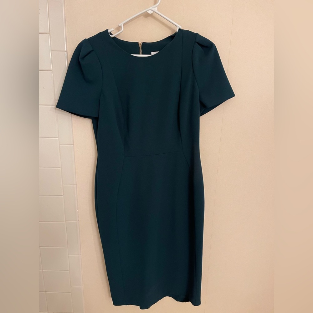 Calvin Klein Tulip Sleeved Dress